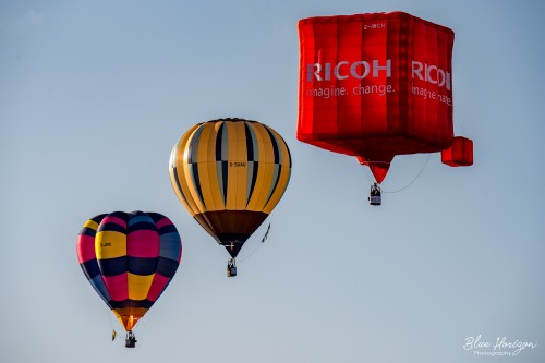 Blue Horizon Photography - Hot Air Balloons - Hot Air Balloon 5